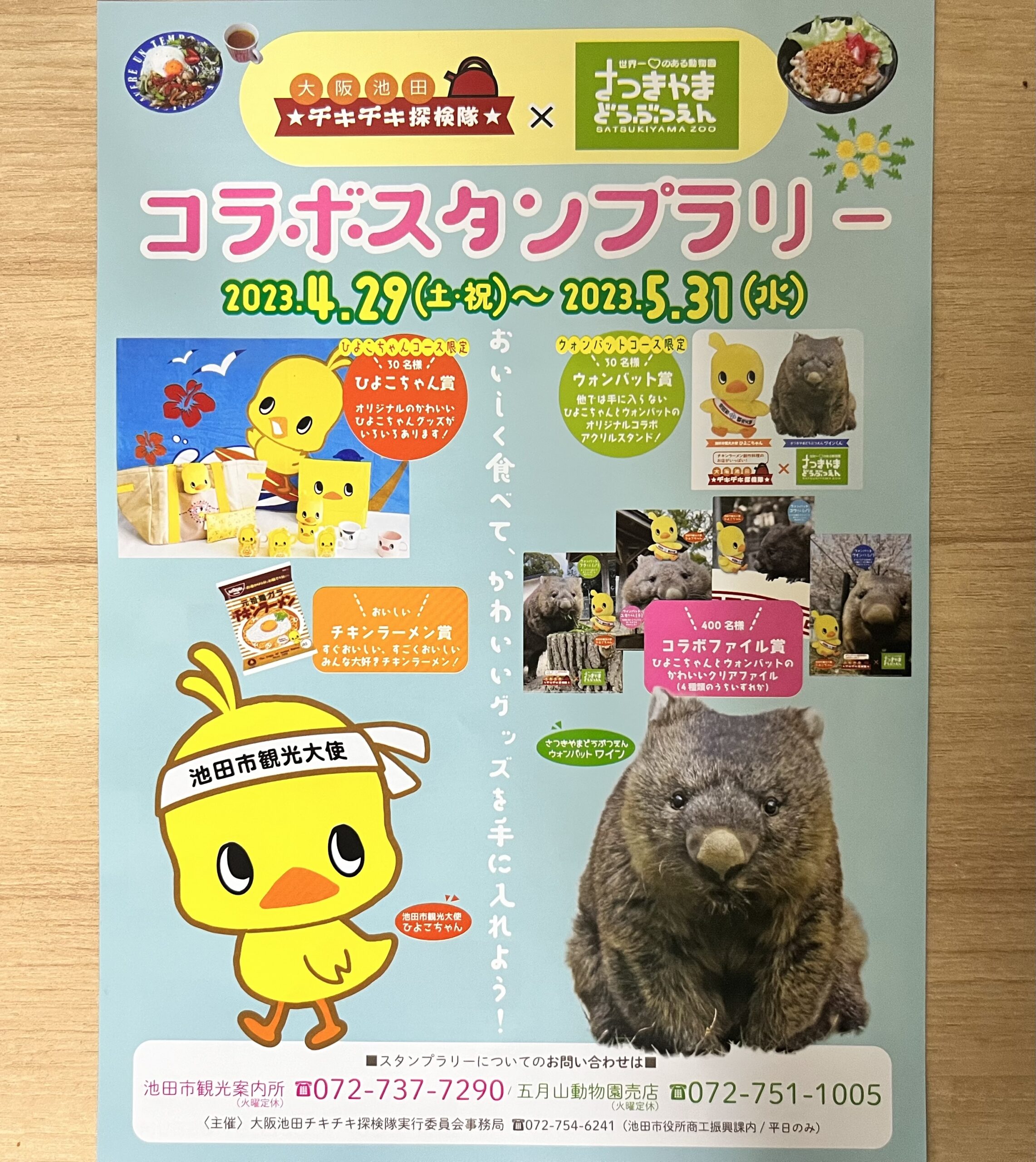 チャンピオンシップシリーズ2020】バチンウニV プロモ PSA10